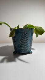 Pot de fleurs en céramique bleu, Enlèvement, Comme neuf