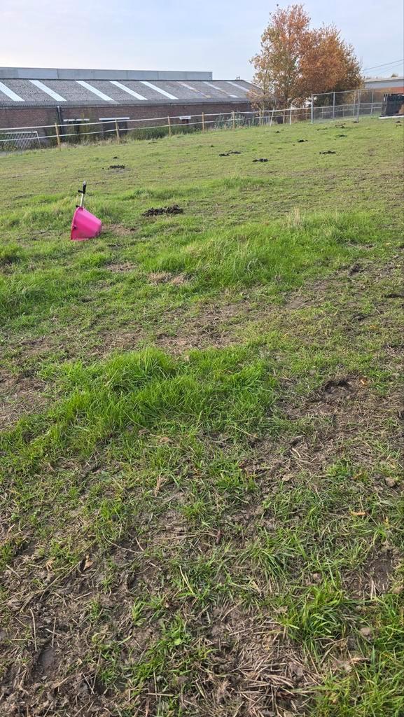 Gratis paardenmest afhalen ledegem, Dieren en Toebehoren, Stalling en Weidegang