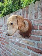 Antieke hondenkop taxidermie hond schedel gewei hert jacht, Verzamelen, Dierenverzamelingen, Ophalen, Hond of Kat, Gewei of Kop