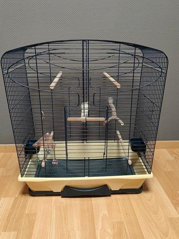 Cage à oiseaux avec accessoires 