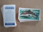 Freshwater Fish complete set 50 chromos vissen 1960, Ophalen of Verzenden, 1960 tot 1980, Dier