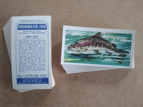 Freshwater Fish complete set 50 chromos vissen 1960, Verzamelen, Foto's en Prenten, Dier, 1960 tot 1980, Ophalen of Verzenden