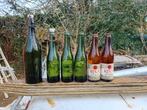 Oude vintage bierflessen brouwerij Desplenter Riva Dentergem, Verzamelen, Ophalen of Verzenden, Gebruikt