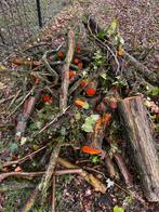 Stookhout, Minder dan 3 m³, Ophalen, Overige houtsoorten, Blokken