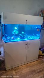350L Zeeaquarium Red Sea Reefer, Dieren en Toebehoren, Vissen | Aquaria en Toebehoren, Ophalen, Zo goed als nieuw
