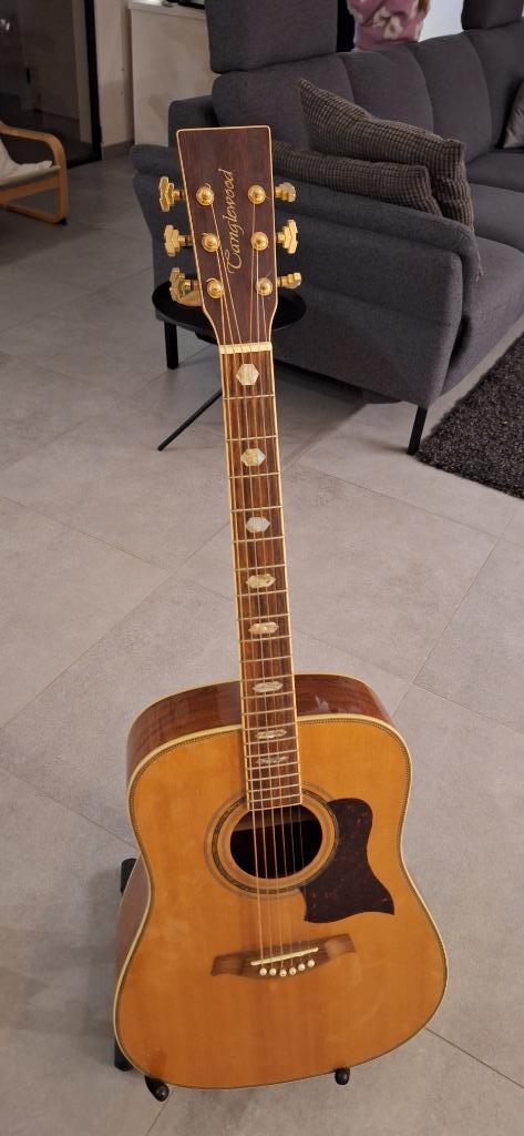 Akoestische gitaar - Tanglewood TW900, Muziek en Instrumenten, Snaarinstrumenten | Gitaren | Akoestisch, Zo goed als nieuw, Western- of Steelstringgitaar