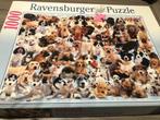 Puzzel met vele hondjes, Ravensburger, Ophalen, Gebruikt