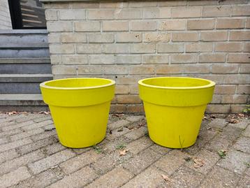 Pots de fleurs Elho beschikbaar voor biedingen