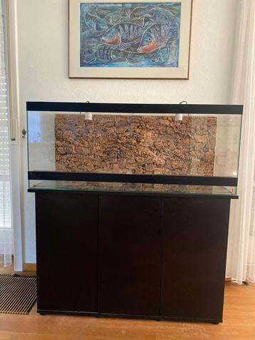 Terrarium de 120x50x50 sur meuble juwel rio 350 beschikbaar voor biedingen