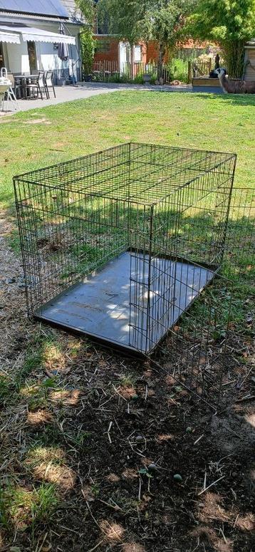 hondenbench beschikbaar voor biedingen