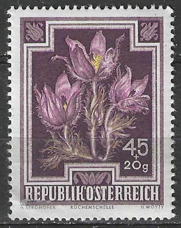 Oostenrijk 1945/1947 - Yvert 726 - Wildemanskruid (PF) beschikbaar voor biedingen