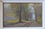 HENRI-JOSEPH PAUWELS / BOSDREEF / OLIEVERF DOEK / 71x106cm, Antiek en Kunst, Kunst | Schilderijen | Klassiek, Ophalen
