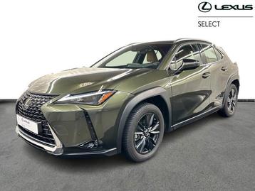 Lexus UX 250h Business Line 