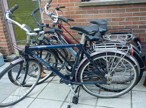 4 fietsen voor studenten, Fietsen en Brommers, Fietsen | Dames | Damesfietsen, Gebruikt, Ophalen
