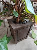 Wenge bloembak, Tuin en Terras, Ophalen, Hout