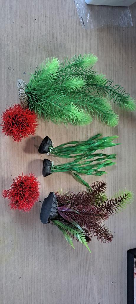 Kunststof waterplanten €8 nieuwprijs €26, Dieren en Toebehoren, Vissen | Aquaria en Toebehoren, Ophalen of Verzenden