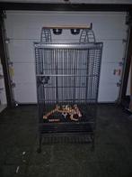 papegaaien kooi, Dieren en Toebehoren