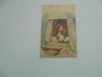 fantasie kaart -met hond en mussen, Enlèvement ou Envoi, Avant 1920, Affranchie, Autres thèmes