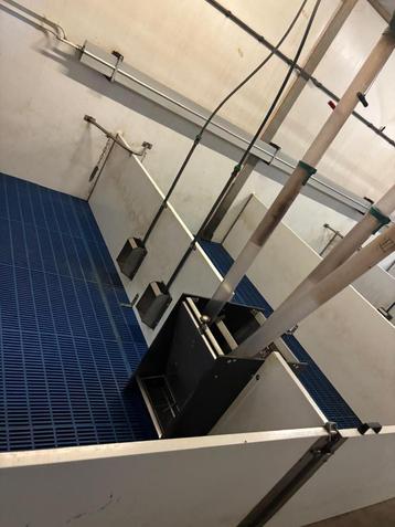 Complete biggenstal [756]  beschikbaar voor biedingen