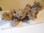 Woestijnroos, Verzamelen, Mineralen en Fossielen, Ophalen, Mineraal