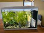 Superfish 150 wit, Dieren en Toebehoren, Ophalen, Gebruikt, Leeg aquarium