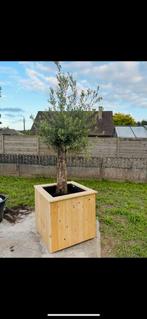 Houten bloembak, Tuin en Terras, Bloembakken en Plantenbakken, Ophalen, Nieuw