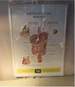 Leuke Schoolplaat in PVC - Spijsverteringsstelsel - 73x53, Antiek en Kunst, Antiek | Schoolplaten, Ophalen of Verzenden, Natuur en Biologie