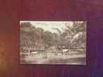 Oude Postkaart  WESEMBEEK  -  Een boomgaard / Institut..., Verzamelen, Verzenden, 1920 tot 1940, Ongelopen, Vlaams-Brabant
