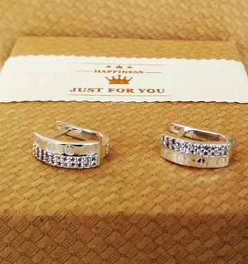 Zilveren oorbellen   beschikbaar voor biedingen