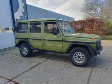 Recherchés : Jeep Oldtimer, Mercedes, Nissan, etc., Jeep, Achat, Diesel, Particulier