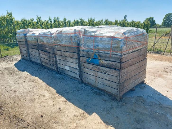 18 m³ Palletten Brandhout in EIK Bakken 125x125x170, Tuin en Terras, Brandhout, Blokken, Overige houtsoorten, 6 m³ of meer, Ophalen