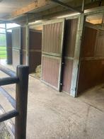 10 paardenstallen met weide te huur schilde, Dieren en Toebehoren, Weidegang, 4 paarden of pony's of meer