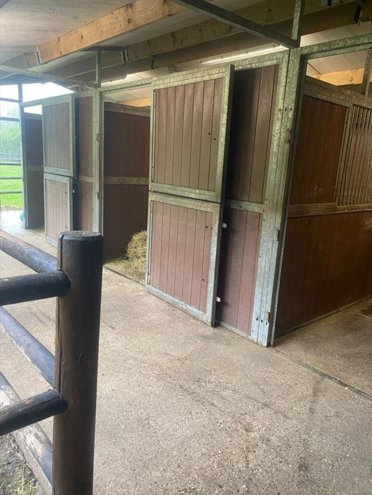 10 paardenstallen met weide te huur schilde, Dieren en Toebehoren, Stalling en Weidegang, Stalling, Weidegang, 4 paarden of pony's of meer