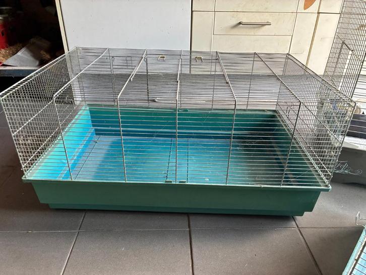 opkweekbakken kuikens, Dieren en Toebehoren, Pluimvee