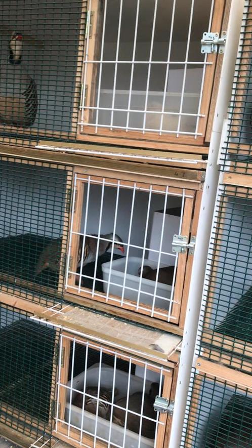 Cages, Animaux & Accessoires, Oiseaux | Cages & Volières, Comme neuf, Enlèvement ou Envoi