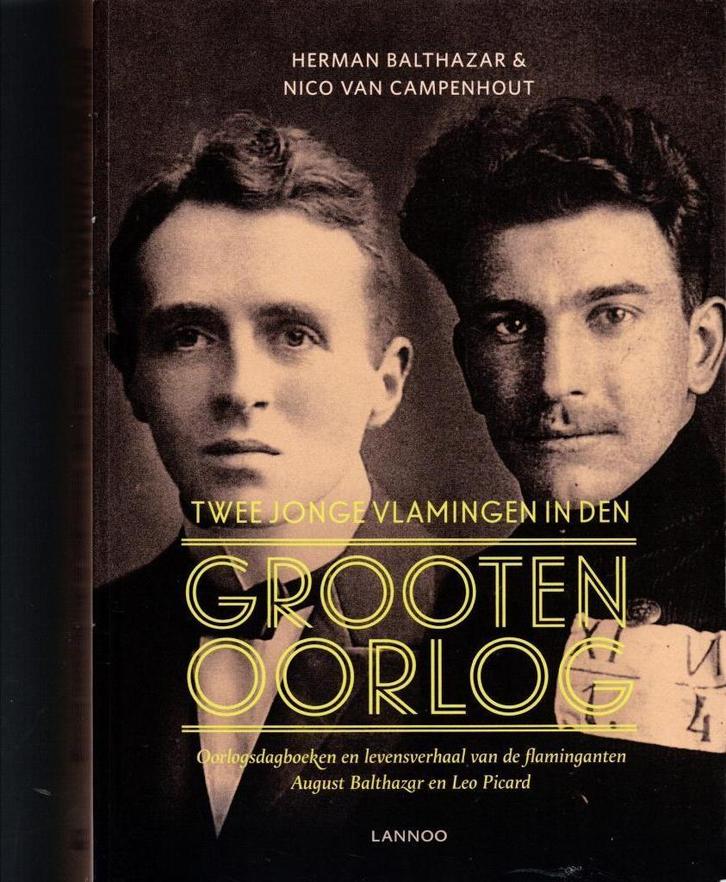 Twee jonge Vlamingen in den Grooten Oorlog, Boeken, Geschiedenis | Nationaal, Gelezen, 20e eeuw of later, Ophalen of Verzenden