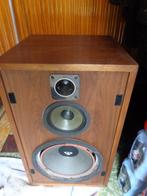 vintage Cerwin Vega 312 luidsprekers zeldzaam, Audio, Tv en Foto, Luidsprekerboxen, Ophalen, 60 tot 120 watt, Overige merken