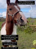 Paardenmixhaag 60/80 cm hoogte per 10 meter €75, Ophalen, Haag