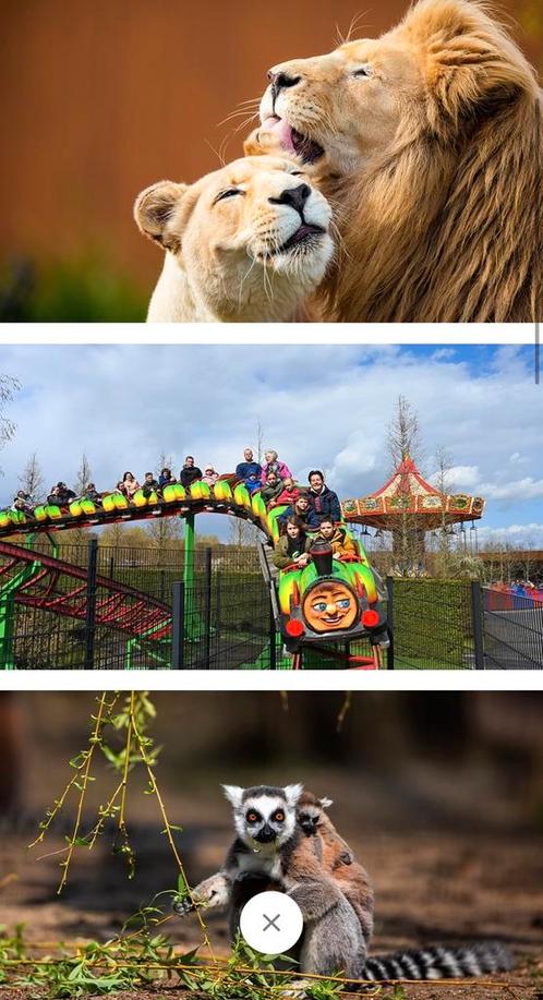 inkom mondo verde landgraaf+ onbeperkt eten en drinken, Tickets en Kaartjes, Recreatie | Pretparken en Attractieparken, Drie personen of meer