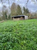 Paardenstal te koop, Dieren en Toebehoren, Stalling en Weidegang, Stalling, 4 paarden of pony's of meer