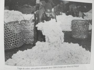 Albert Thys Jean Jadot Congo patterns Belgium boek  beschikbaar voor biedingen