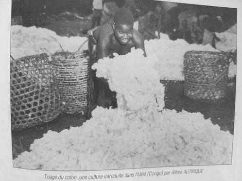 Albert Thys Jean Jadot Congo patterns Belgium boek, Boeken, Geschiedenis | Nationaal, Gelezen, 20e eeuw of later, Verzenden