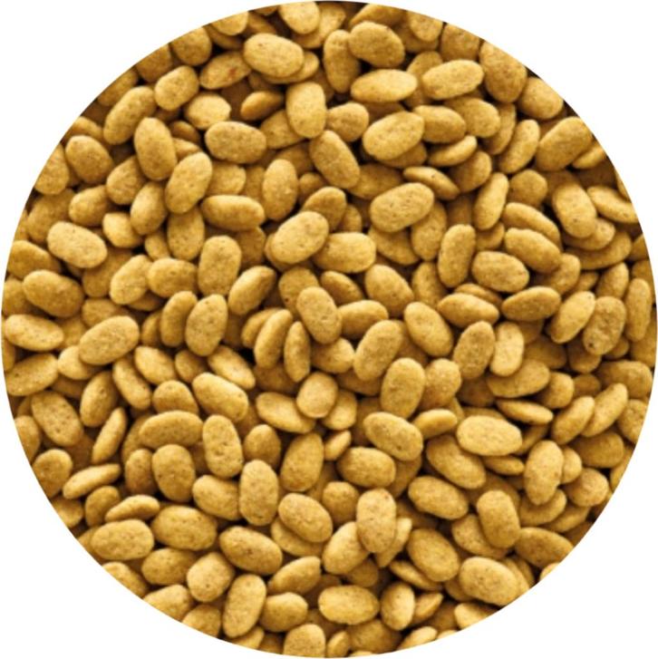 Nutribird P15 original 1kg - Geëxtrudeerde korrels, Dieren en Toebehoren, Vogels | Toebehoren, Nieuw, Eten en Drinken, Ophalen