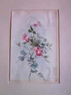 Paire d'aquarelles Fleurs 1900 décoration dessin Redouté, Antiquités & Art, Enlèvement ou Envoi