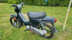 Honda Wallaroo, Fietsen en Brommers, Brommers | Honda, Ophalen, Gebruikt, Overige modellen, Klasse B (45 km/u)