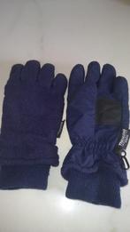 Handschoenen  :Thinsulate, Vêtements | Femmes, Bonnets, Écharpes & Gants, Thinsulate, Gants, Enlèvement ou Envoi, Taille 36 (S)