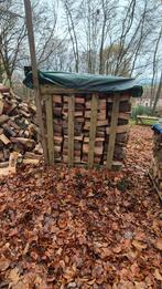 Beukenhout, Tuin en Terras, Brandhout, Ophalen, Beukenhout