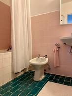 Bidet retro jaren ‘70 met kranen, Doe-het-zelf en Bouw, Sanitair, Ophalen, Gebruikt, Steen, Wastafel