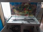 Aquarium met meubel van het merk aquatlantis, Dieren en Toebehoren, Vissen | Aquaria en Toebehoren, Ophalen, Zo goed als nieuw