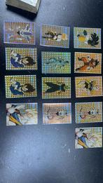 Dragon Ball Z funimation cards 1999 (zeldzaam), Ophalen of Verzenden, Zo goed als nieuw, Meerdere kaarten, Foil